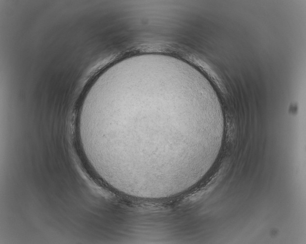 X0000116830586201001291645