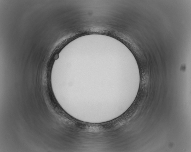 X0000116830587201001291645