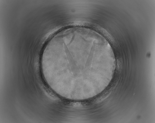 X0000116830588201001291645