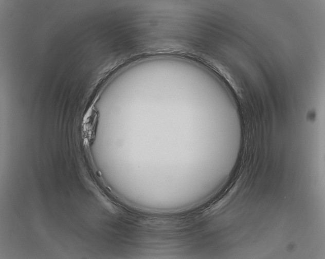 X0000116830589201001291645