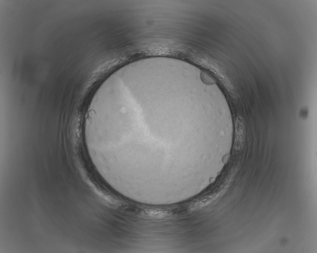 X0000116830590201001291645