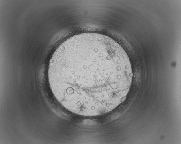 X0000116830591201001291645