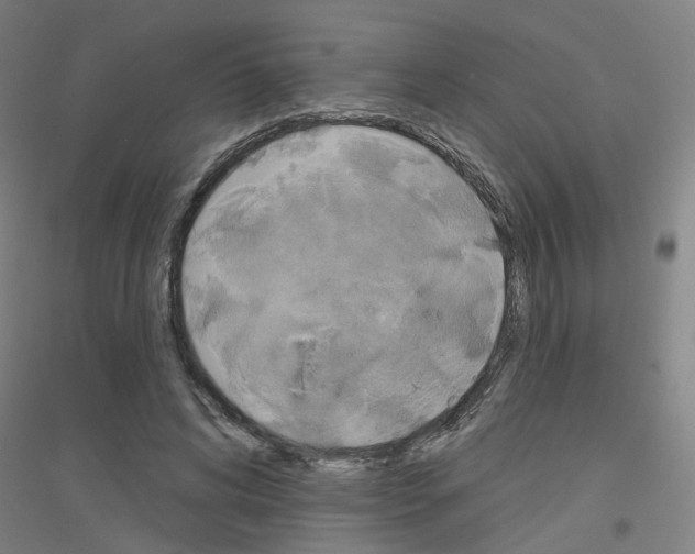 X0000116830592201001291645