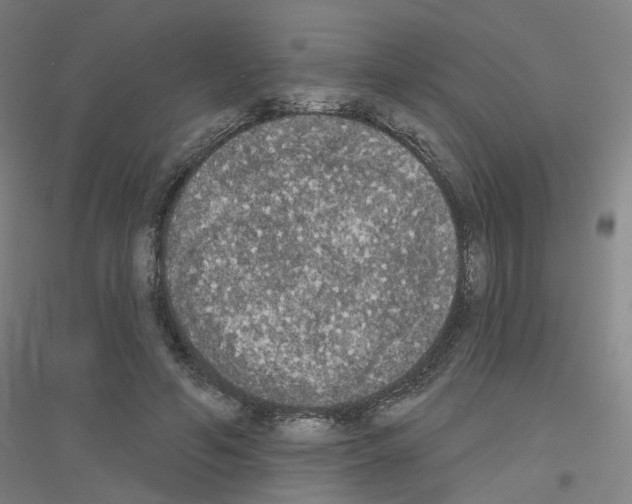 X0000116830594201001291645