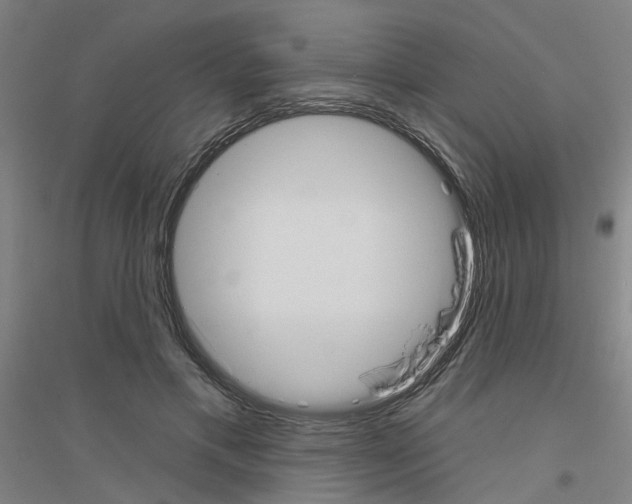 X0000116830597201001291645