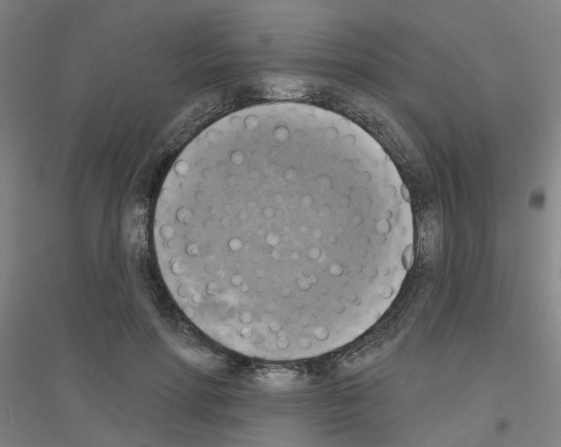 X0000116830598201001291645