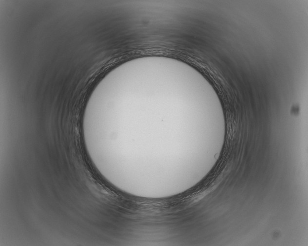 X0000116830599201001291645