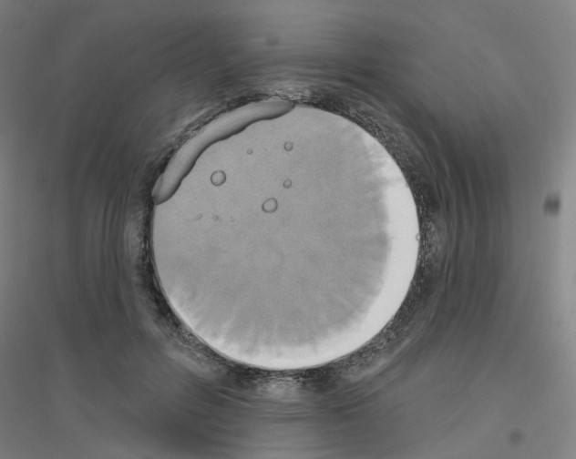 X0000116830600201001291645