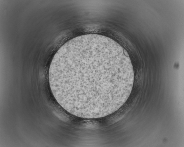 X0000116830601201001291645