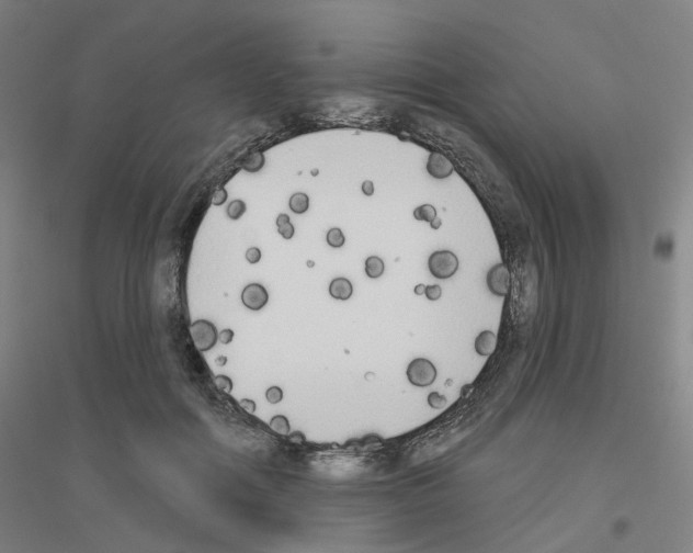 X0000116830602201001291644