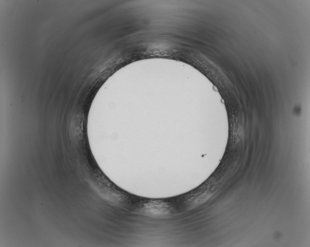 X0000116830603201001291644