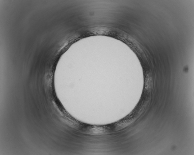 X0000116830604201001291644