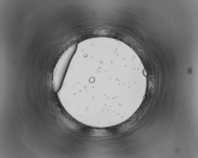 X0000116830605201001291644