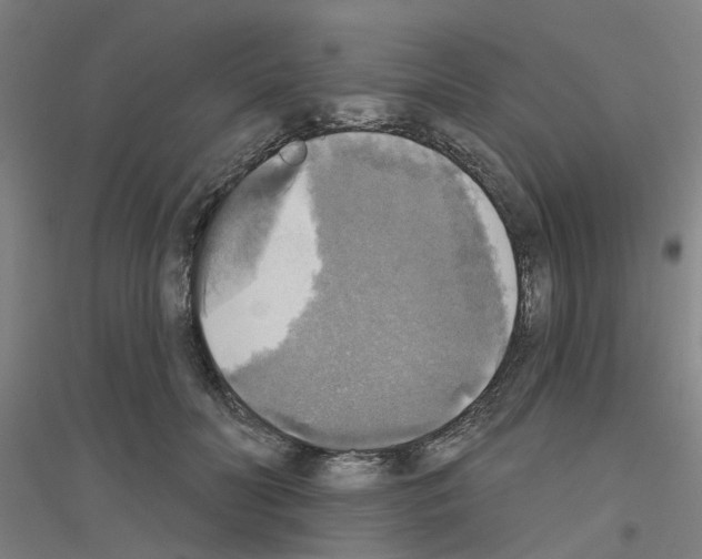 X0000116830606201001291644