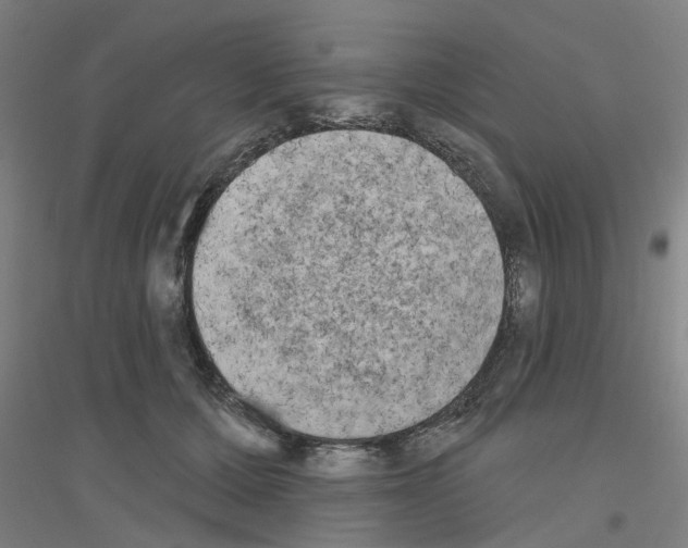 X0000116830607201001291644