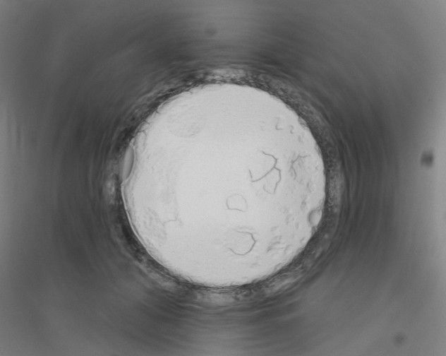 X0000116830608201001291644