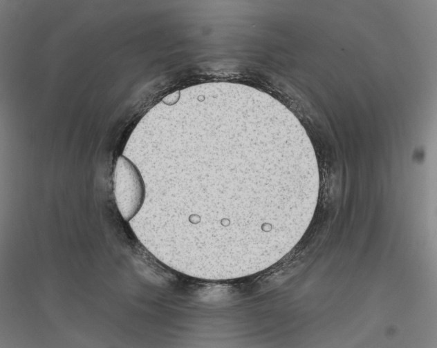 X0000116830609201001291644