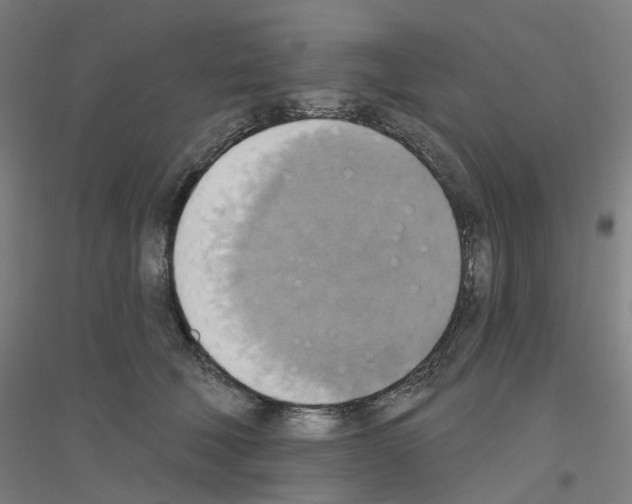 X0000116830610201001291644