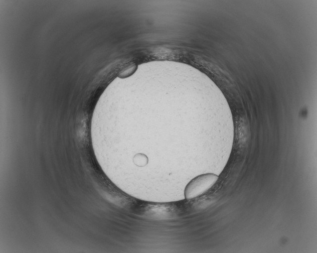 X0000116830611201001291644