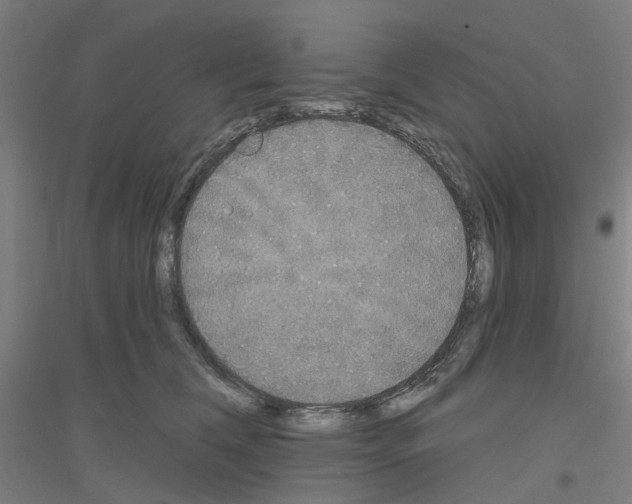 X0000116830612201001291644