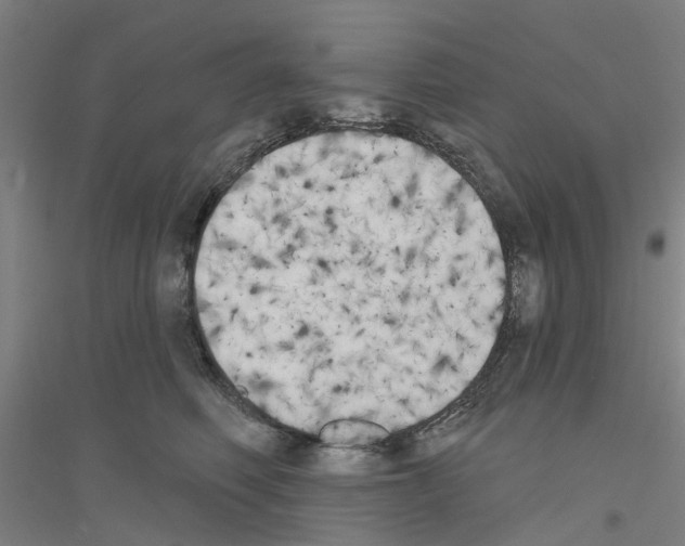 X0000116830614201001291644