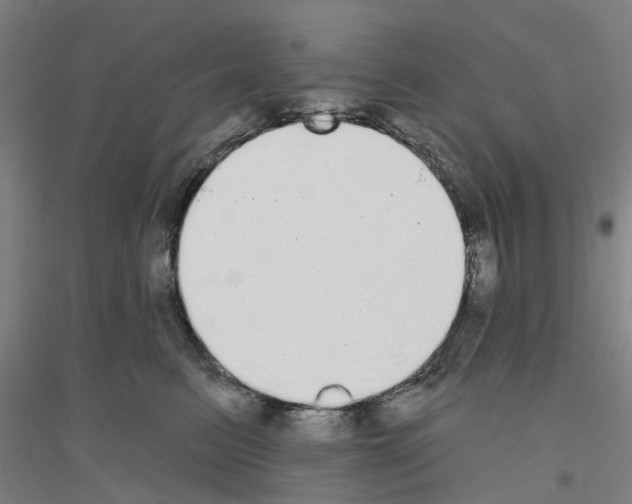 X0000116830615201001291644