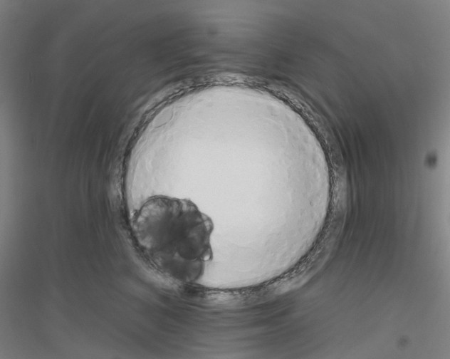 X0000116830616201001291644