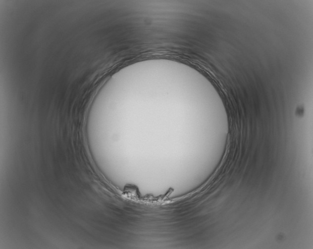 X0000116830617201001291644