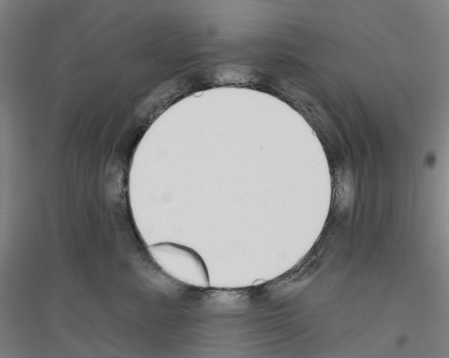 X0000116830619201001291644