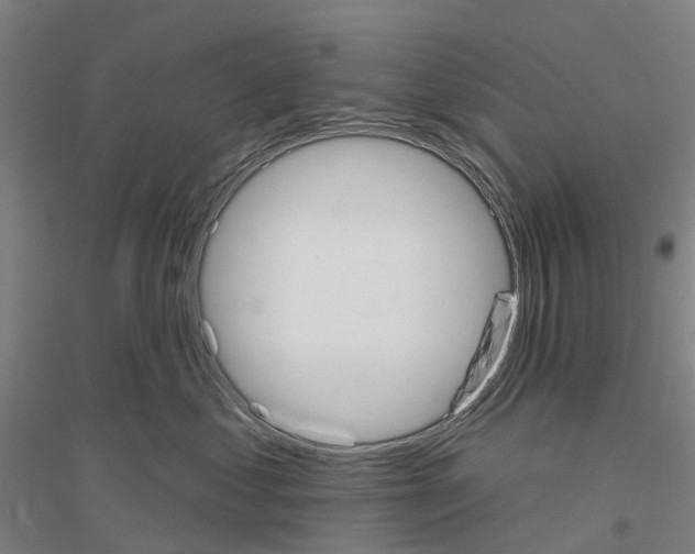 X0000116830621201001291644