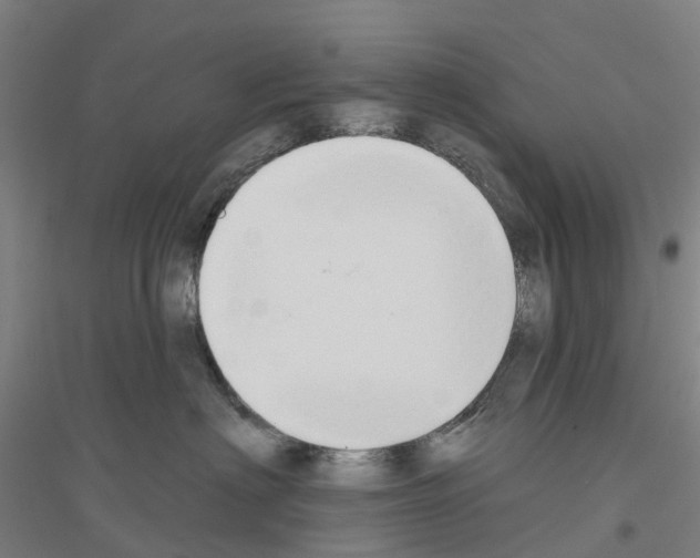 X0000116830622201001291644