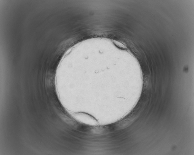 X0000116830623201001291644