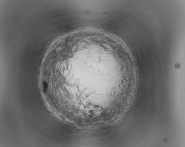 X0000116830625201001291644