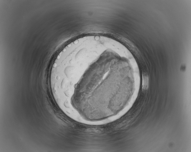 X0000116830627201001291644