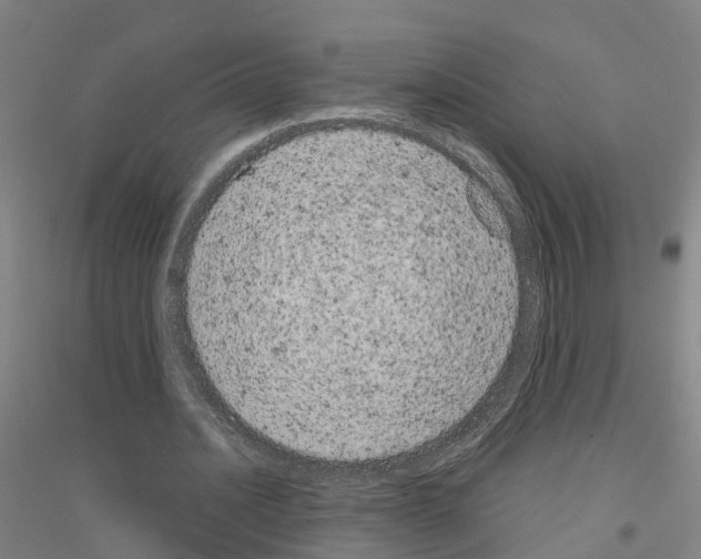 X0000116830628201001291644