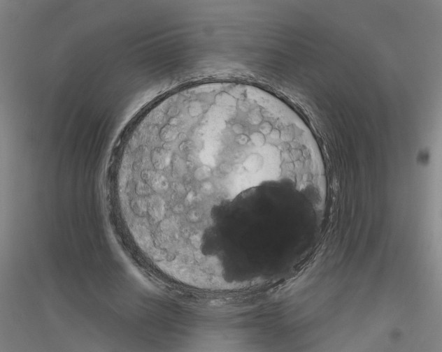 X0000116830630201001291644