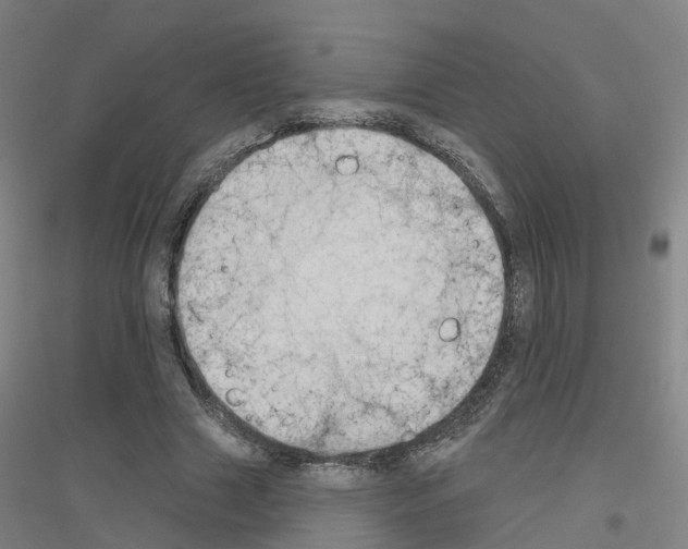 X0000116830633201001291644