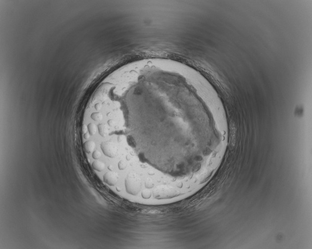 X0000116830634201001291644