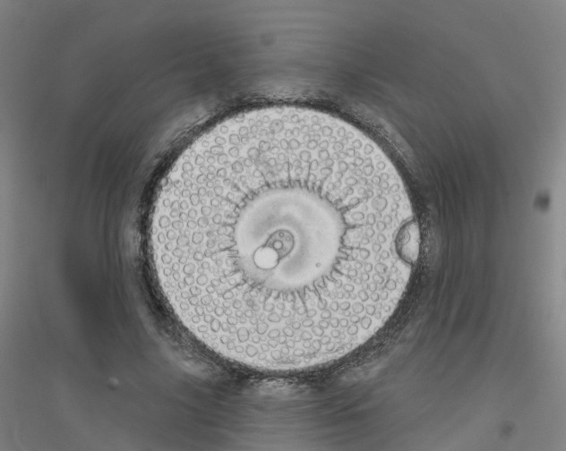 X0000116830635201001291644