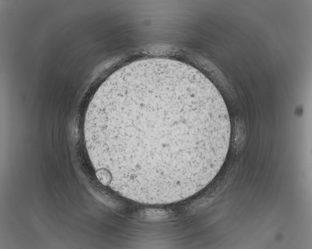 X0000116830636201001291644