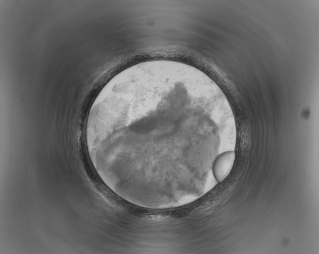 X0000116830637201001291644