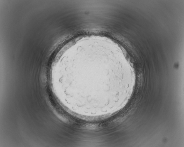 X0000116830638201001291644