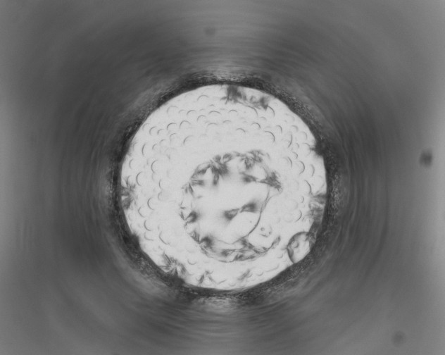 X0000116830639201001291644