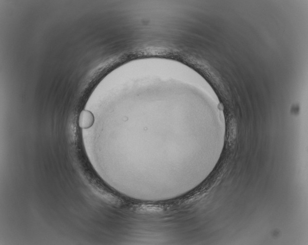 X0000116830640201001291644