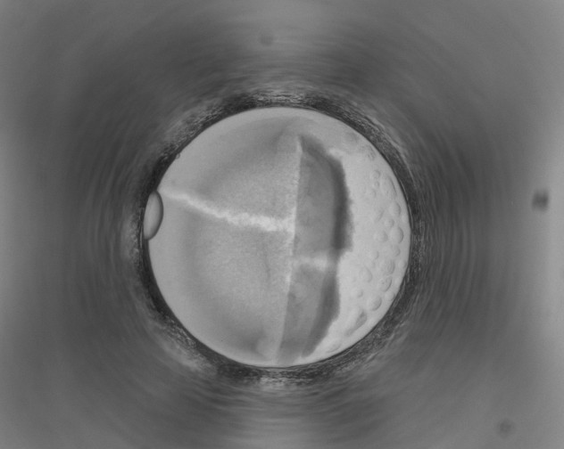 X0000116830641201001291644