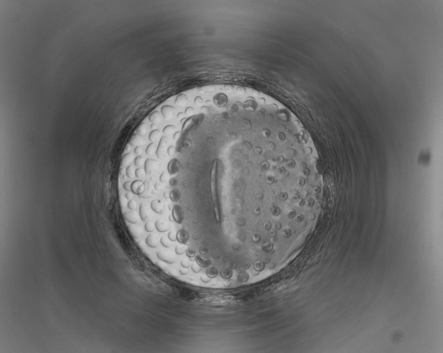 X0000116830642201001291644