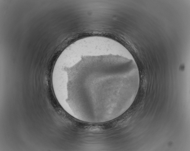 X0000116830643201001291644