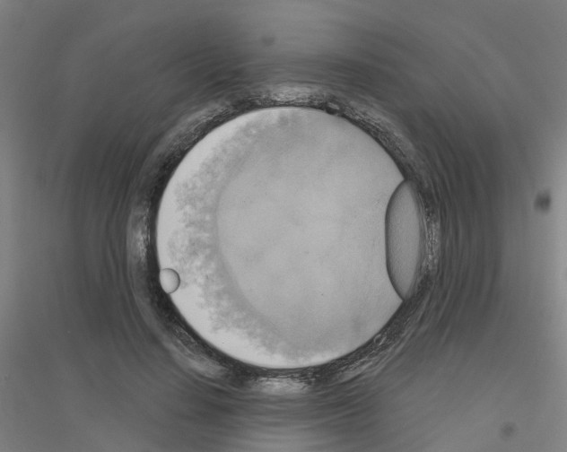 X0000116830644201001291644