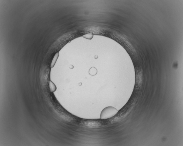 X0000116830645201001291644