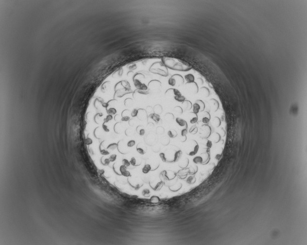 X0000116830646201001291644